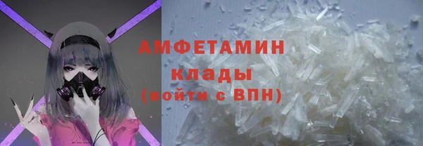 СК Алексин