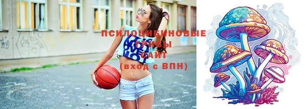 СК Алексин