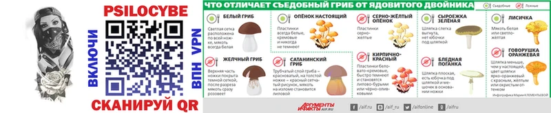 закладка  ОМГ ОМГ   Псилоцибиновые грибы ЛСД  Чусовой 