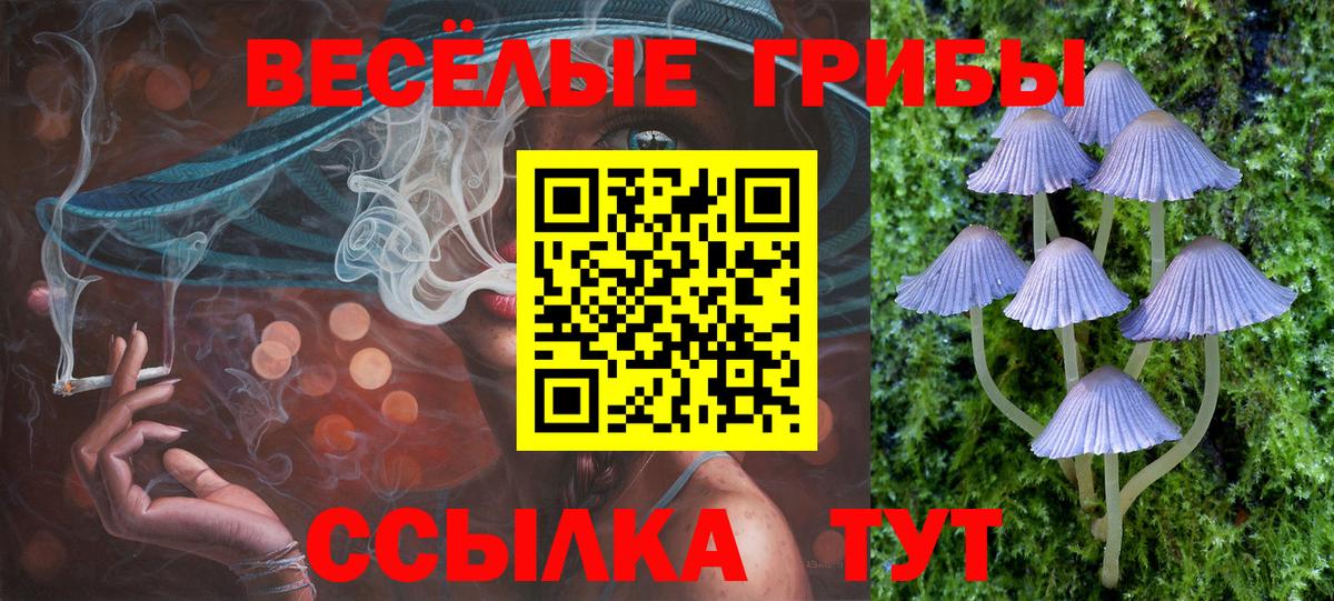где продают   Вход с VPN  Чусовой  Галлюциногенные грибы Psilocybe 